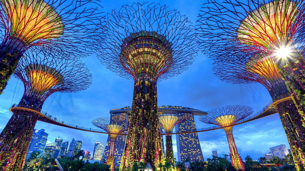 Photo by Duy Nguyen on Unsplash